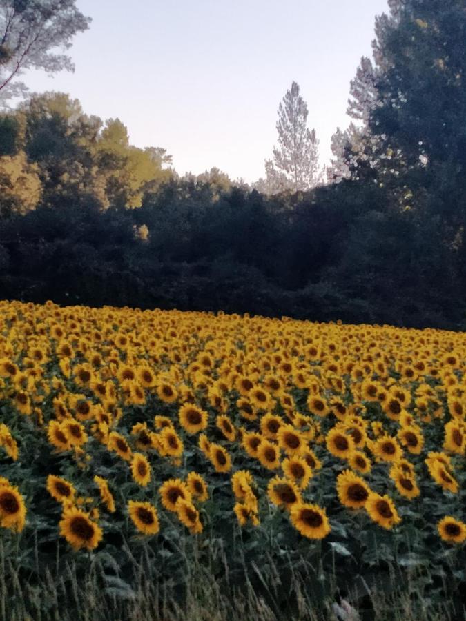 Hotel Rural El Cielo Entejado מראה חיצוני תמונה
